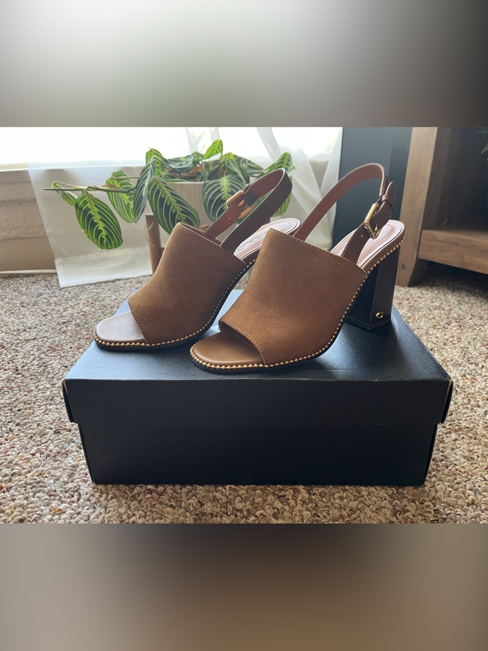 Coach Brown Suede Open-Toe Slingback Block Heel Mules